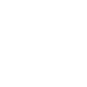 Turbo Tint Lifetime Icon